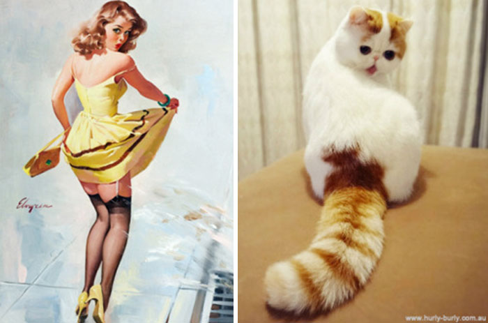 cats-vintage-pin-up-girls-42-5866671f5969c__700
