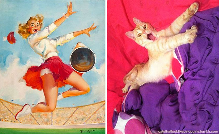 cats-vintage-pin-up-girls-7-586666dc262a1__700